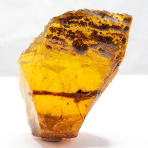 Dominican Amber - Raw 27g