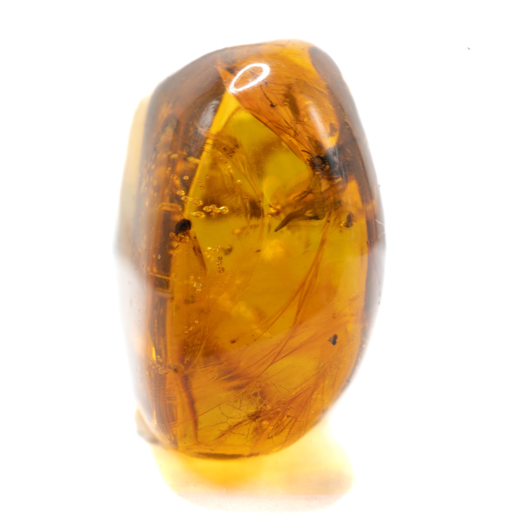 Dominican Amber With Wasps 15.7g