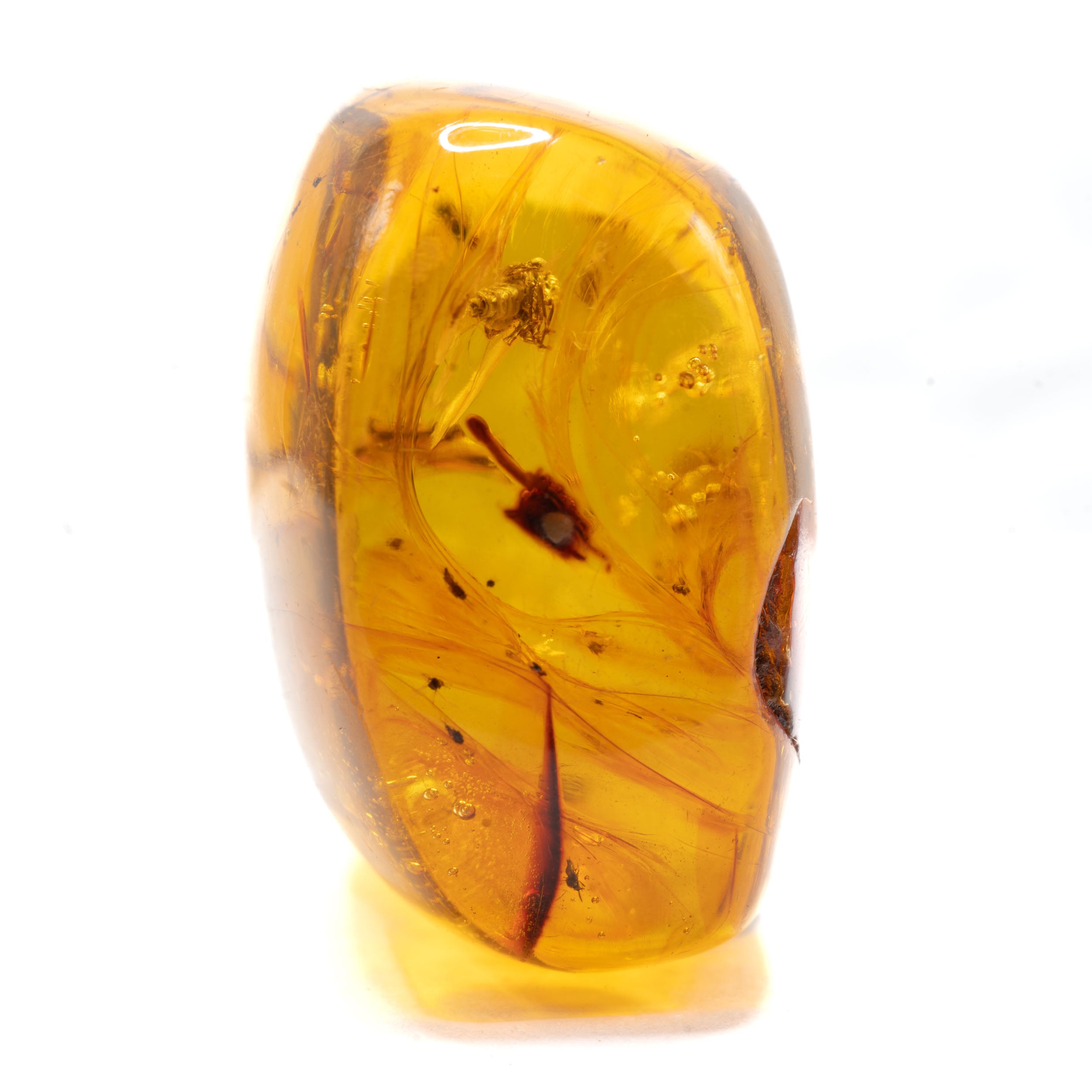 Dominican Amber With Wasps 15.7g