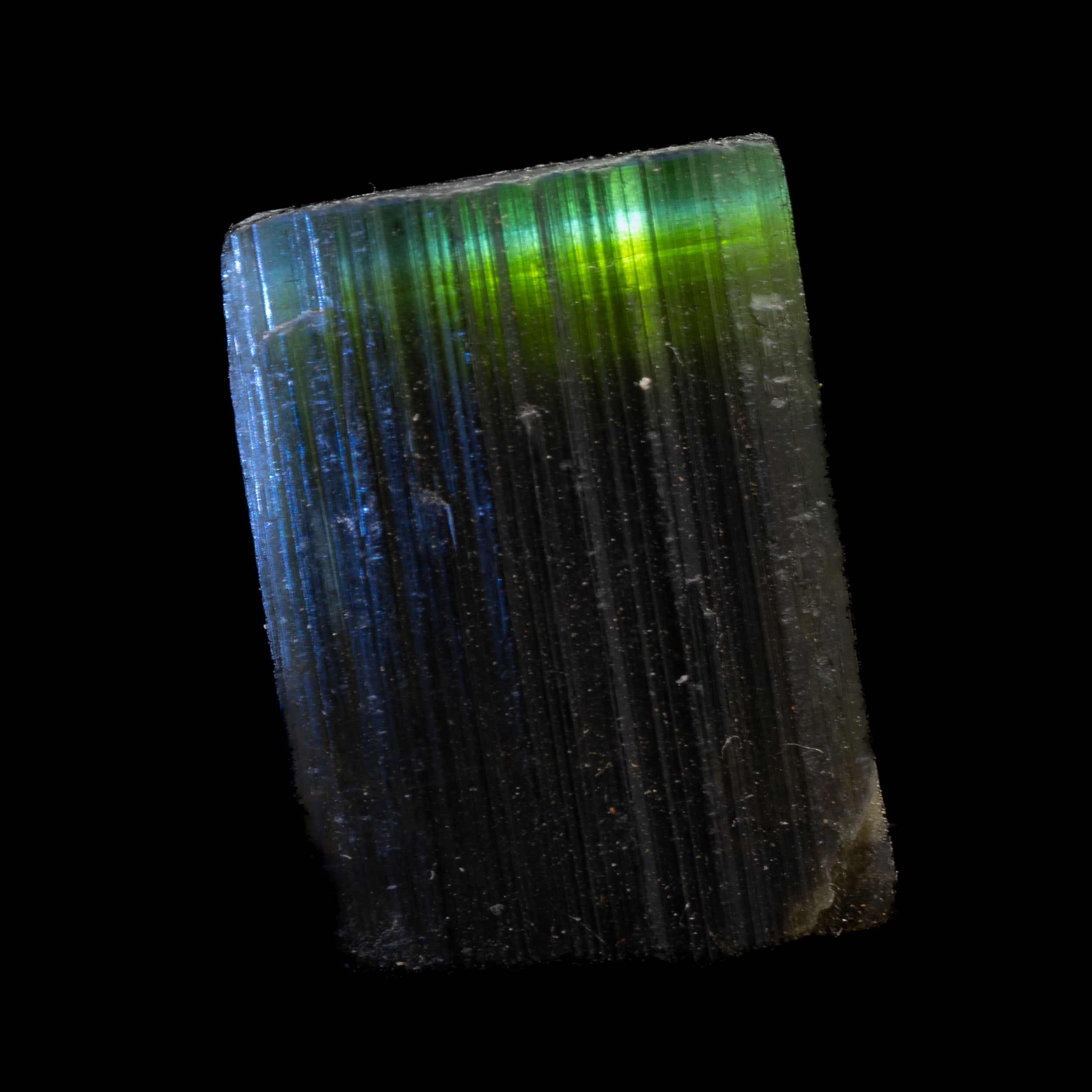 Aqua Blue Tricolor Tourmaline 26.1ct