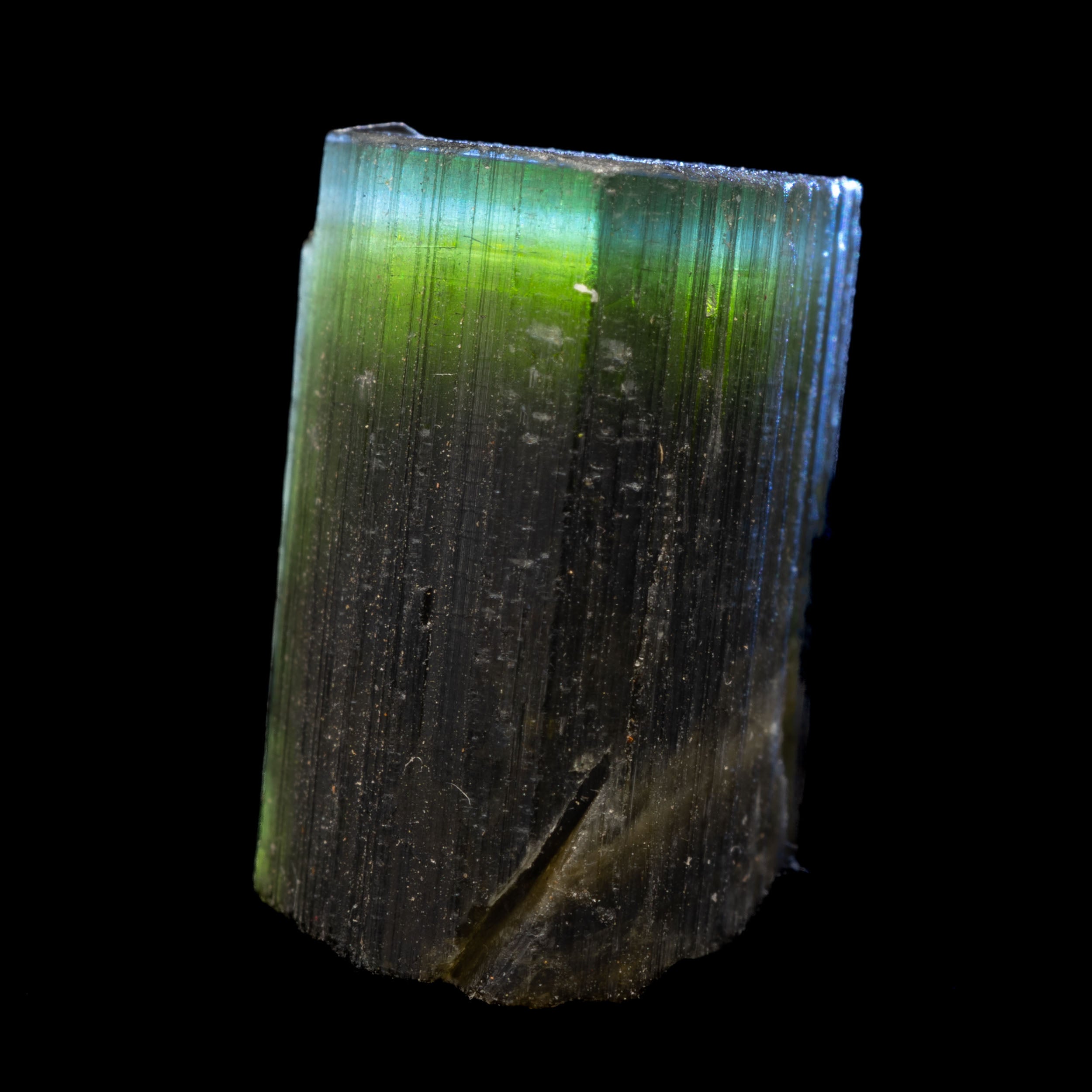 Aqua Blue Tricolor Tourmaline 26.1ct