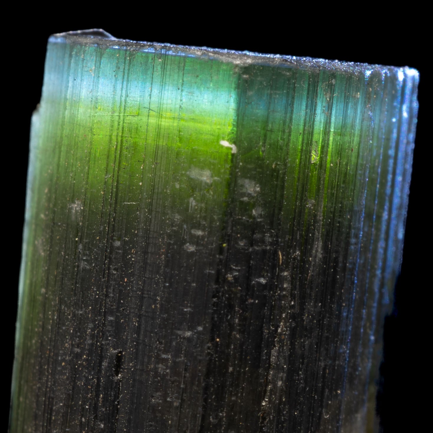 Aqua Blue Tricolor Tourmaline 26.1ct