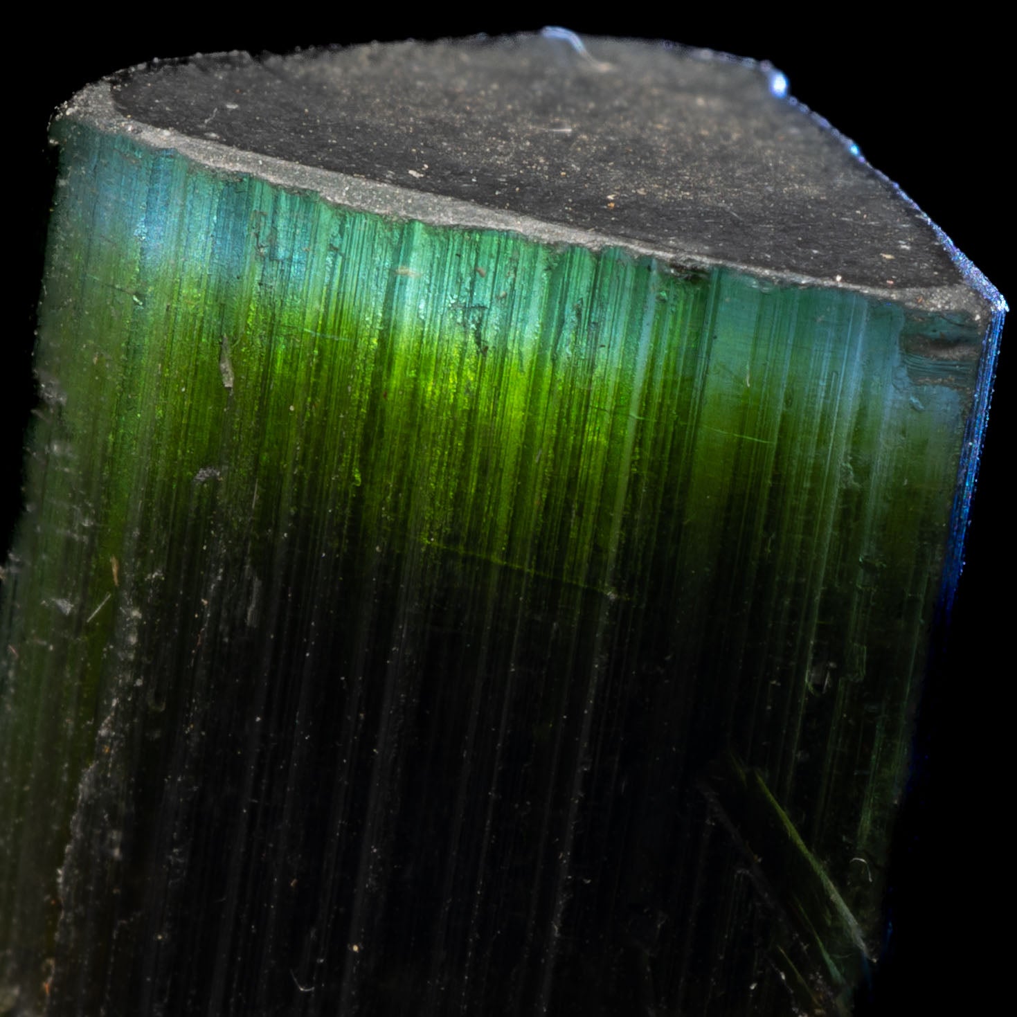 Aqua Blue Tricolor Tourmaline 5.22g