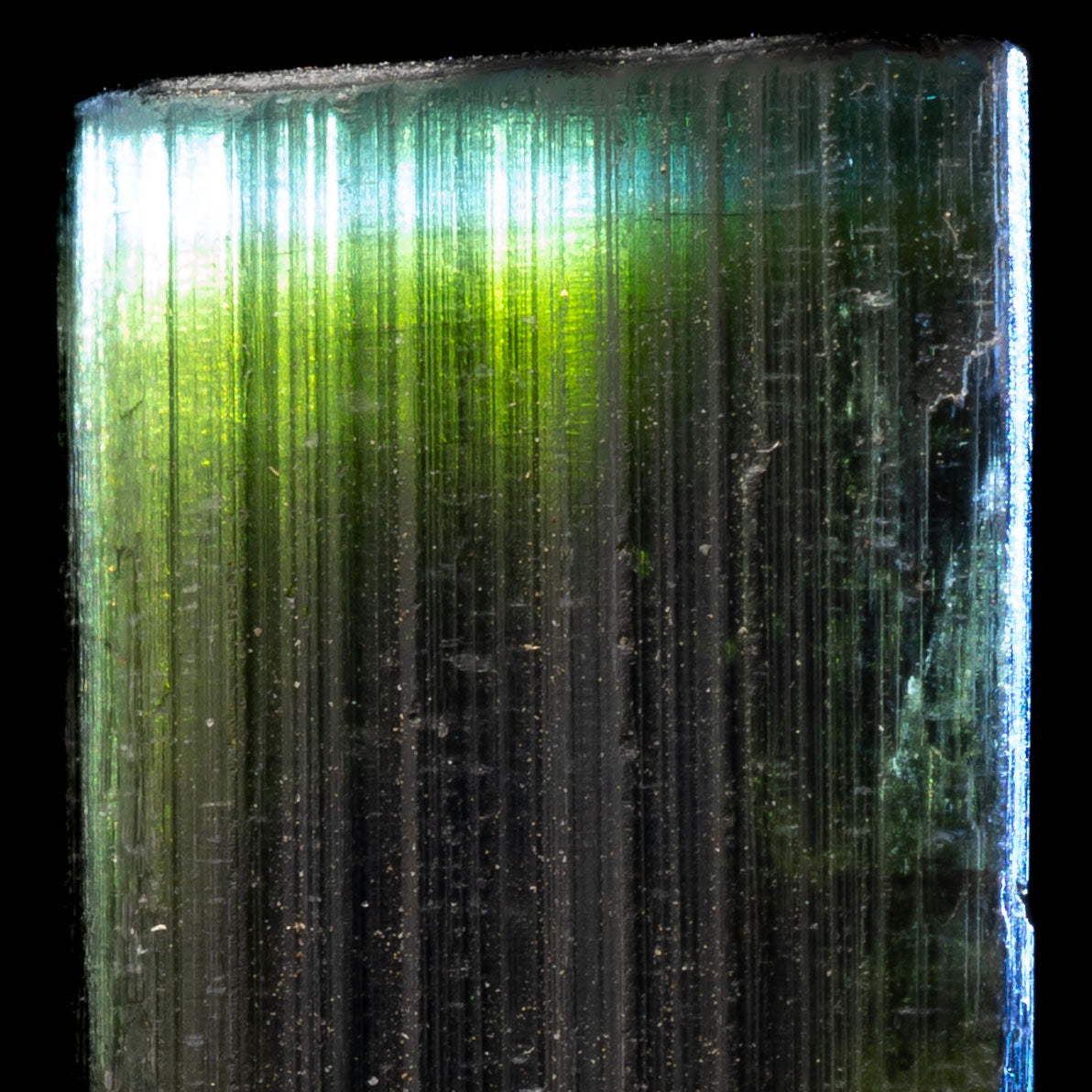 Aqua Blue Cap Tricolor Tourmaline 23.3ct