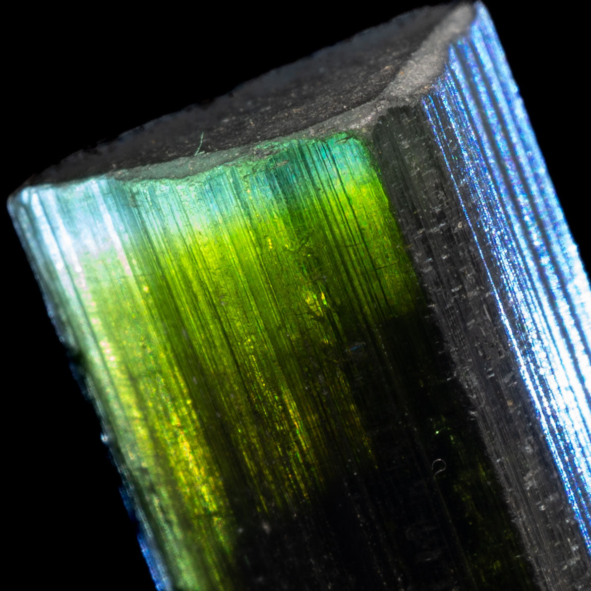 Aqua Blue Cap Tricolor Tourmaline 4.66g