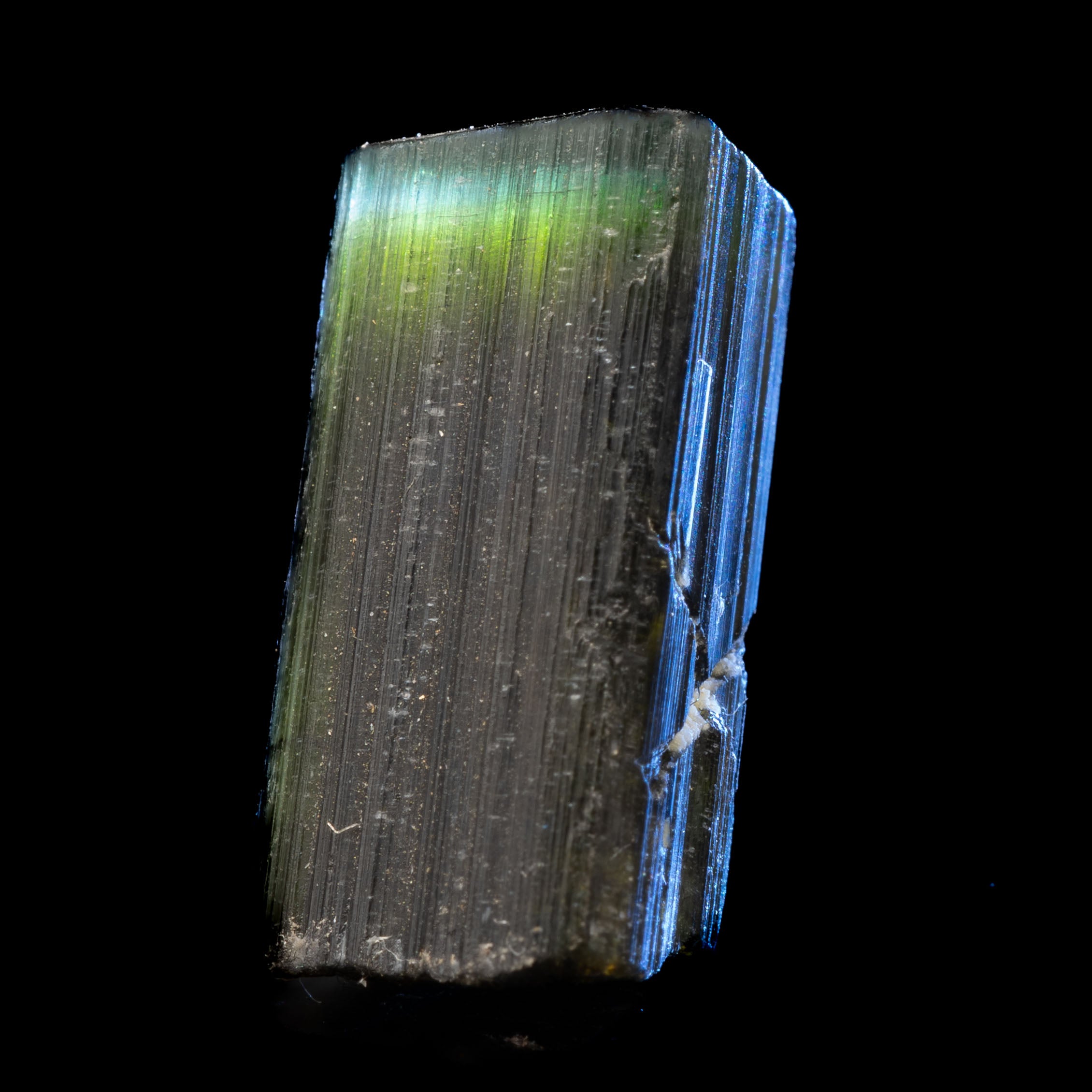 Aqua Blue Cap Tricolor Tourmaline 23.3ct