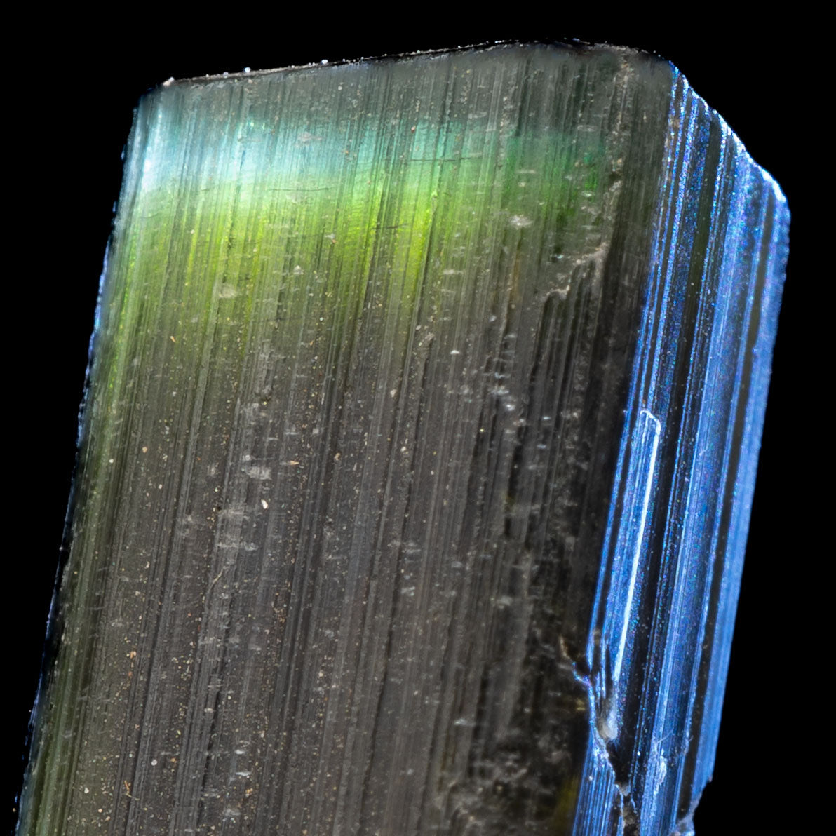 Aqua Blue Cap Tricolor Tourmaline 23.3ct