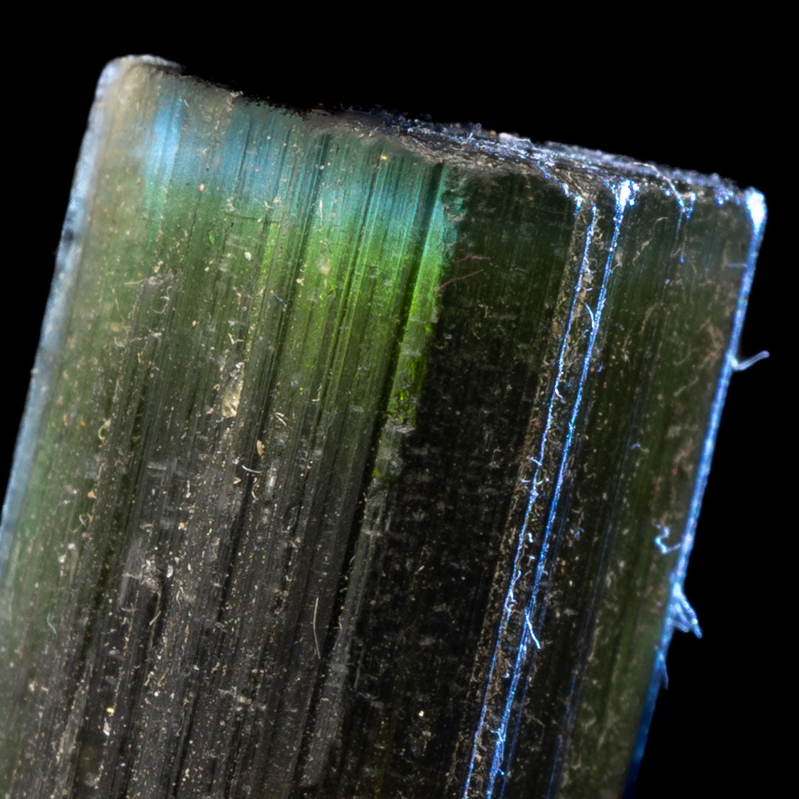 Aqua Blue Tricolor Tourmaline 4.44g