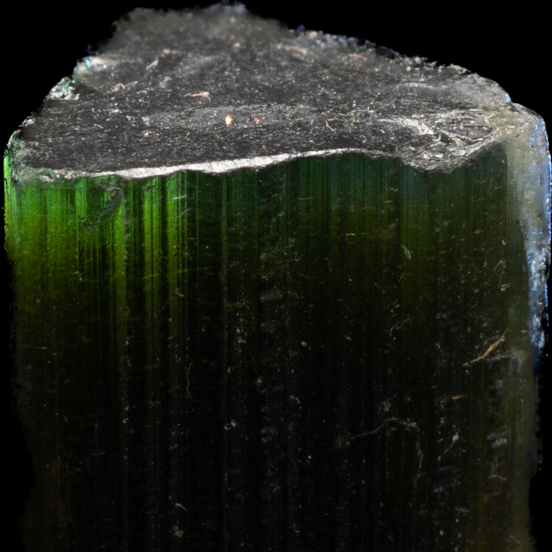 Aqua Blue Tricolor Tourmaline 4.44g