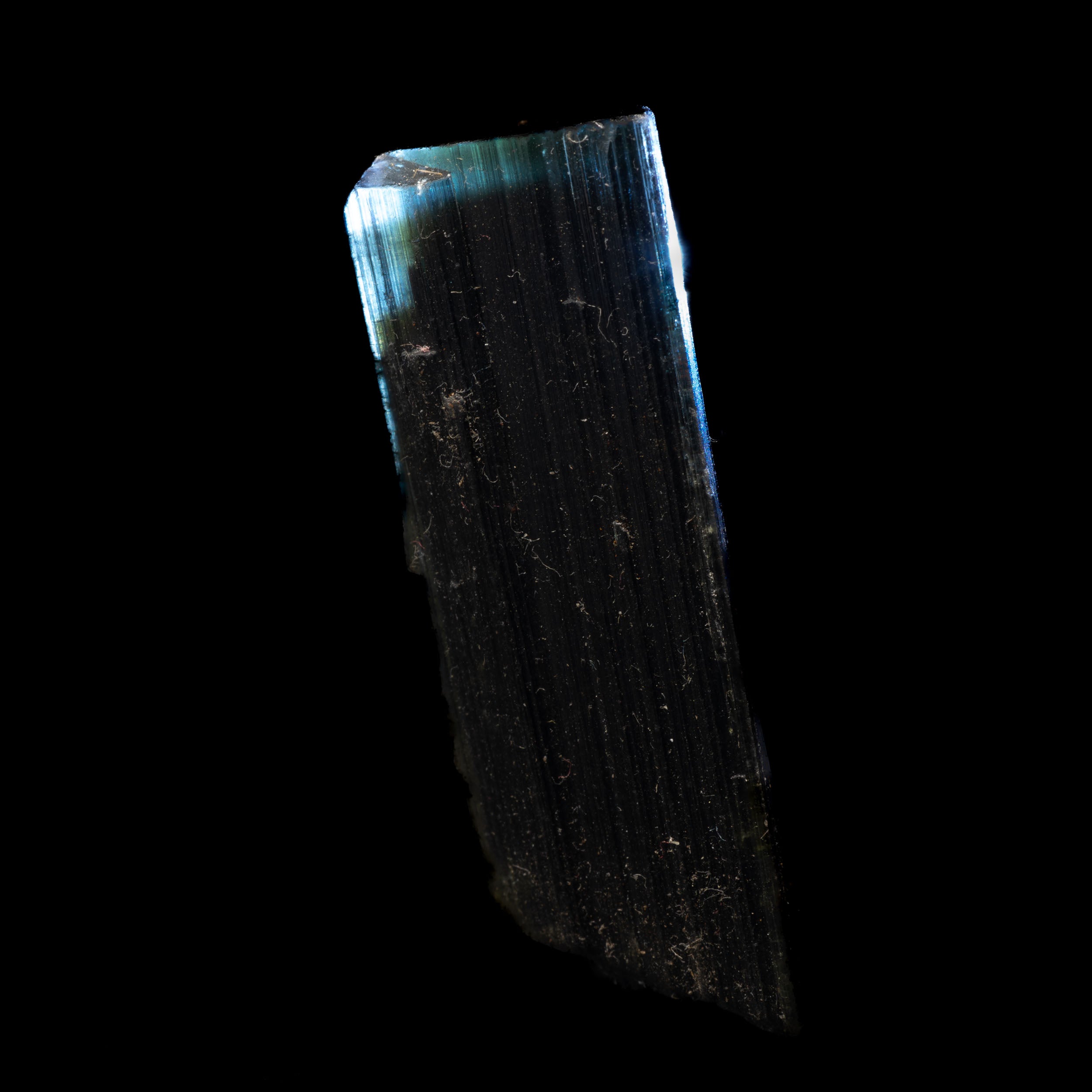 Blue & Green Cap Tricolor Tourmaline 14g