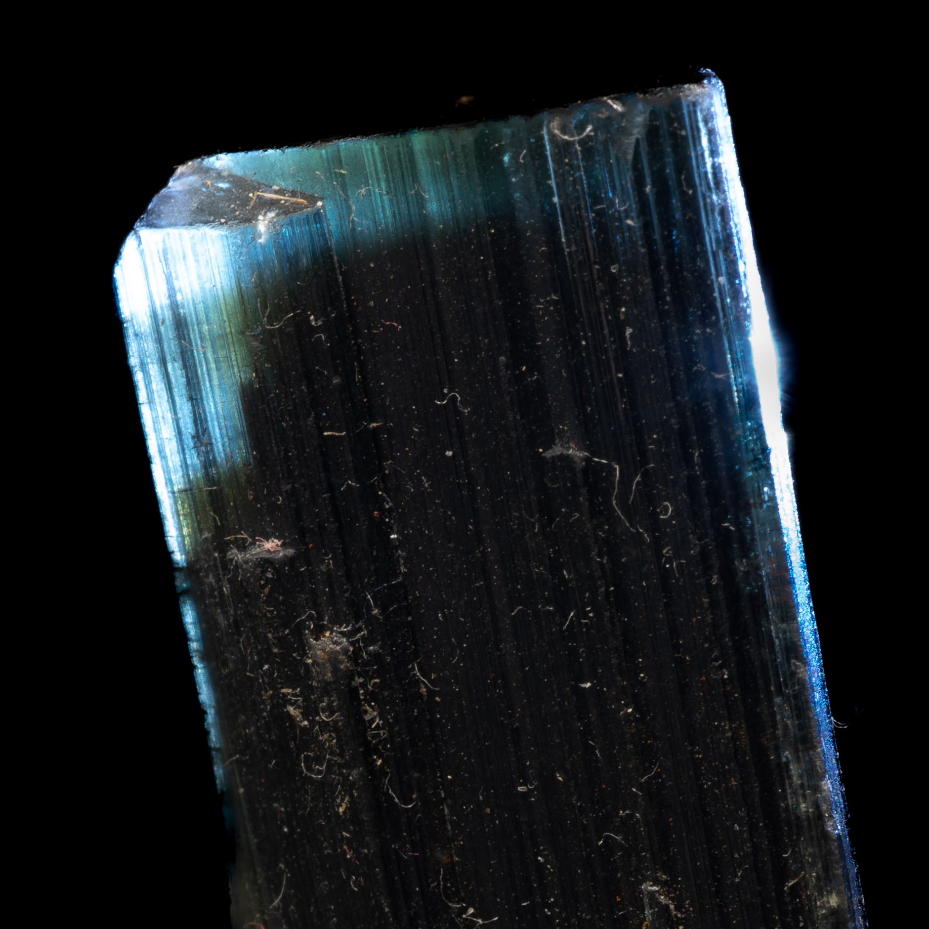 Blue & Green Cap Tricolor Tourmaline 14g