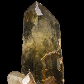 This exquisite Citrine Cluster from Mandrosonoro, Madagascar, is remarkable for its radiant yellow hue and exquisite clarity. Featuring one main point topped with a smaller bridge point at the bottom, this piece has beautiful terminations on both sides that give off a unique, Lemurian-like effect, making this distinctive piece truly stand out.
