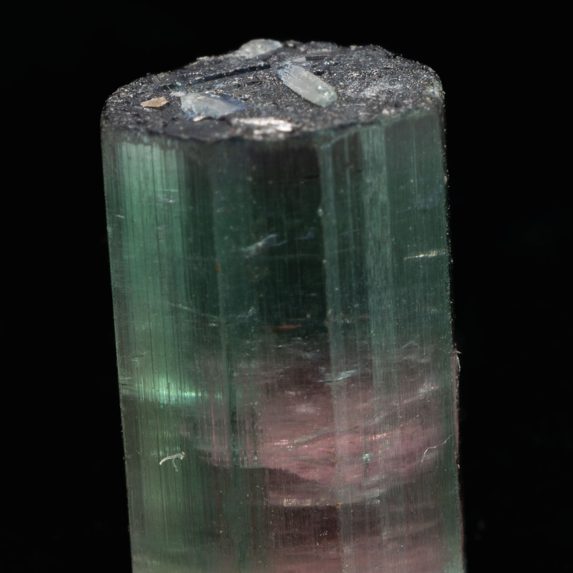 Watermelon Tourmaline Rainbow 3.7ct