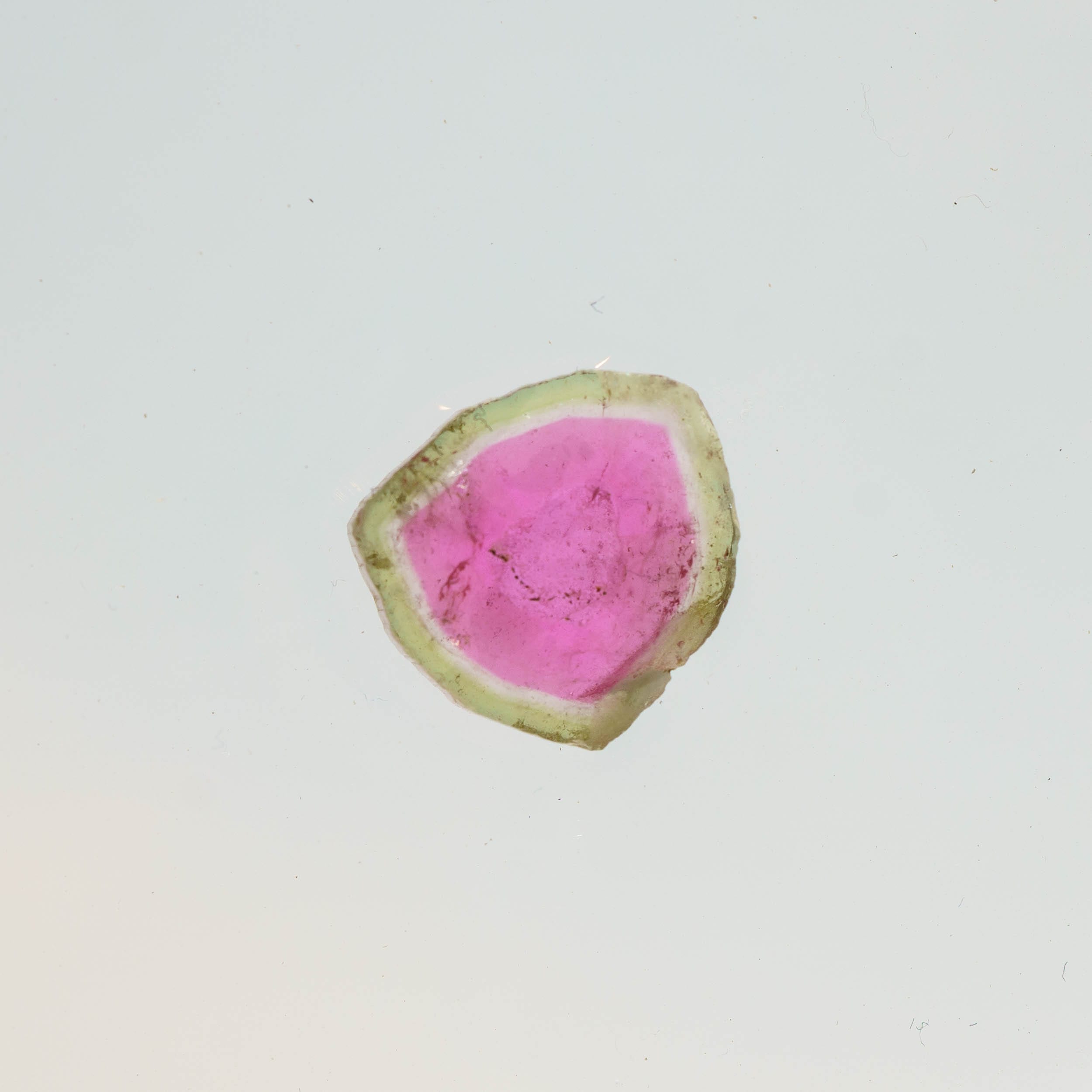 Watermelon Tourmaline Slice